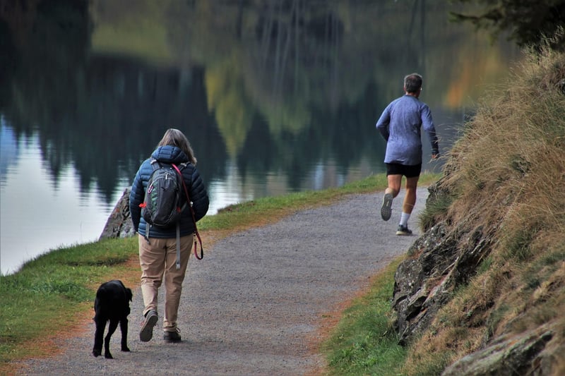 Mindful Walking in Nature